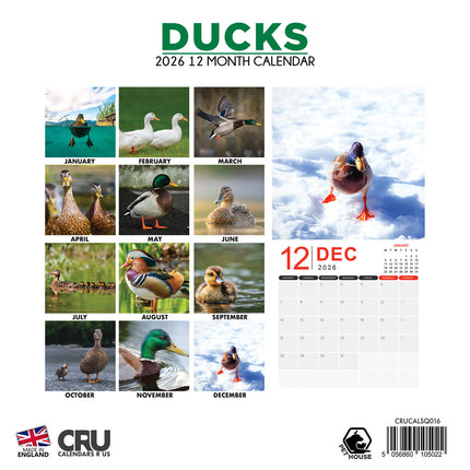 CalendarsRUs Eenden Kalender 2026