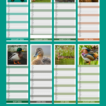 CalendarsRUs Eenden Slimline Kalender 2026