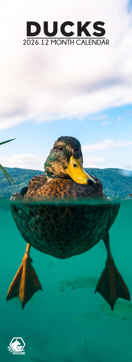 CalendarsRUs Eenden Slimline Kalender 2027