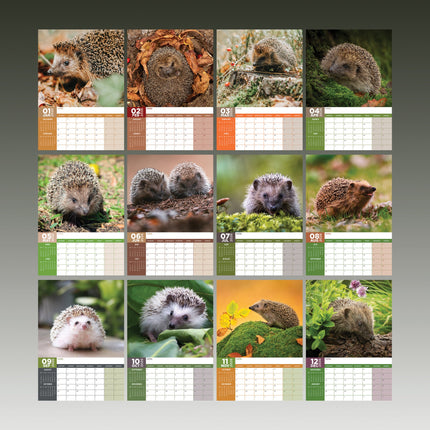 CalendarsRUs Egel A3 Kalender 2026