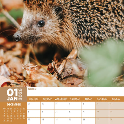 CalendarsRUs Egel A3 Kalender 2026