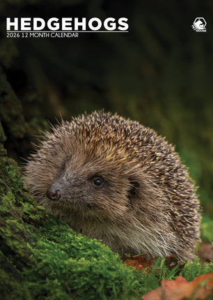 CalendarsRUs Egel A3 Kalender 2026