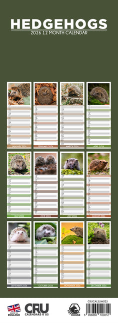 CalendarsRUs Egels Slimline Kalender 2026