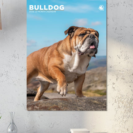 CalendarsRUs Engelse Bulldog A3 Kalender 2026