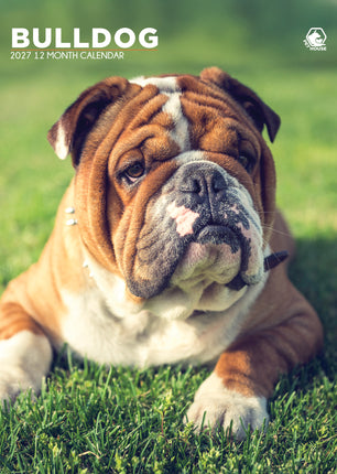 CalendarsRUs Engelse Bulldog A3 Kalender 2027