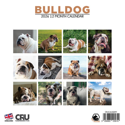 CalendarsRUs Engelse Bulldog Kalender 2026