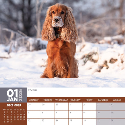 CalendarsRUs Engelse Cocker Spaniel A3 Kalender 2026