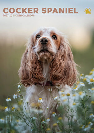 CalendarsRUs Engelse Cocker Spaniel A3 Kalender 2027