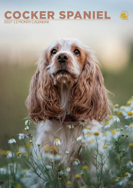 CalendarsRUs Engelse Cocker Spaniel A3 Kalender 2027