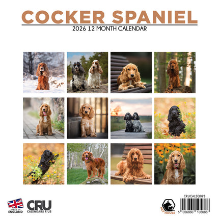 CalendarsRUs Engelse Cocker Spaniel Kalender 2026