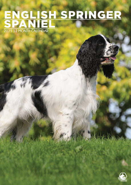 CalendarsRUs Engelse Springer Spaniel A3 Kalender 2025