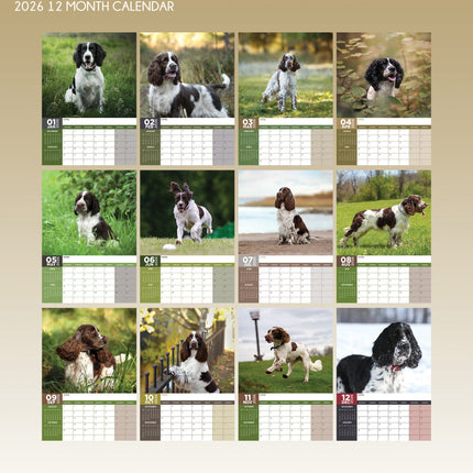 CalendarsRUs Engelse Springer Spaniel A3 Kalender 2026