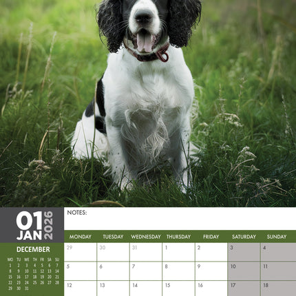 CalendarsRUs Engelse Springer Spaniel A3 Kalender 2026