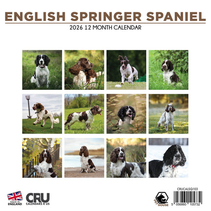 CalendarsRUs Engelse Springer Spaniel Kalender 2026