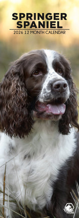 CalendarsRUs Engelse Springer Spaniel Slimline Kalender 2026