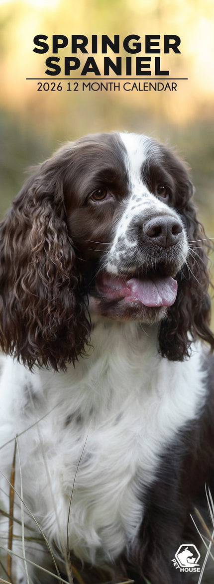 CalendarsRUs Engelse Springer Spaniel Slimline Kalender 2026