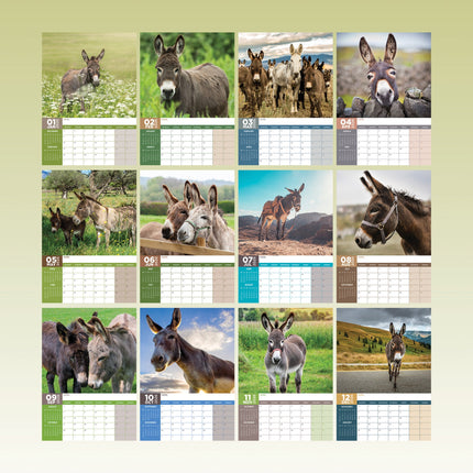 CalendarsRUs Ezel A3 Kalender 2026
