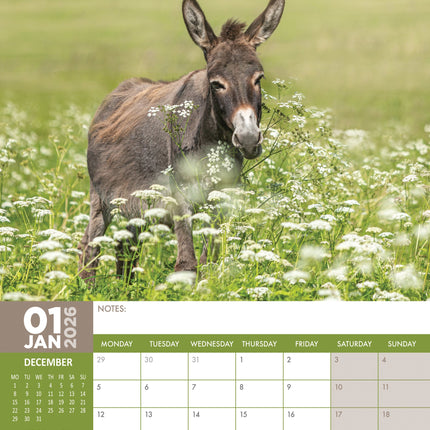 CalendarsRUs Ezel A3 Kalender 2026