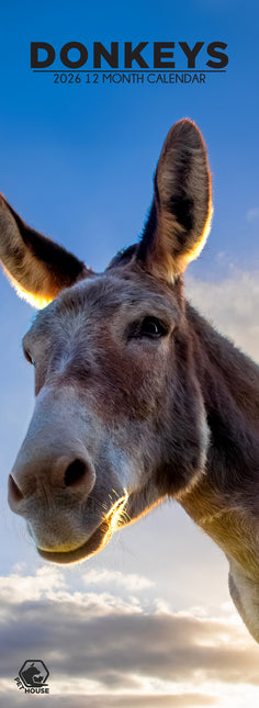 CalendarsRUs Ezel Slimline Kalender 2026