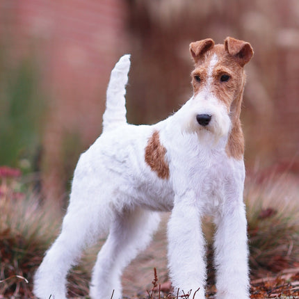CalendarsRUs Fox Terrier A3 Kalender 2026