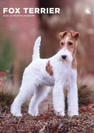 CalendarsRUs Fox Terrier A3 Kalender 2026