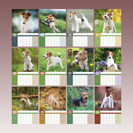 CalendarsRUs Fox Terrier A3 Kalender 2026