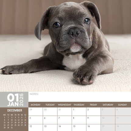 CalendarsRUs Franse Bulldog A3 Kalender 2026