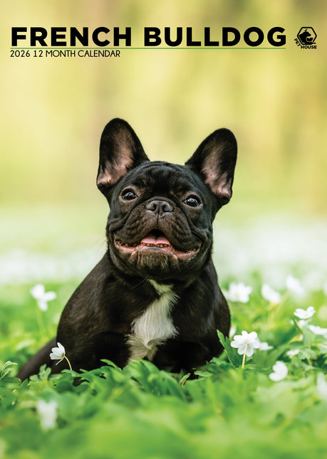 CalendarsRUs Franse Bulldog A3 Kalender 2026
