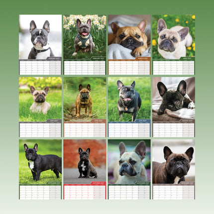 CalendarsRUs Franse Bulldog A3 Kalender 2027