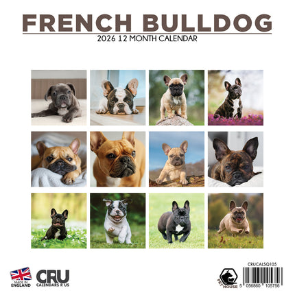 CalendarsRUs Franse Bulldog Kalender 2026