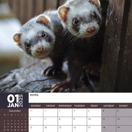 CalendarsRUs Fretten A3 Kalender 2025