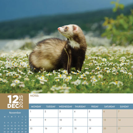 CalendarsRUs Fretten A3 Kalender 2025