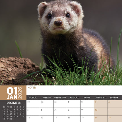 CalendarsRUs Fretten A3 Kalender 2026