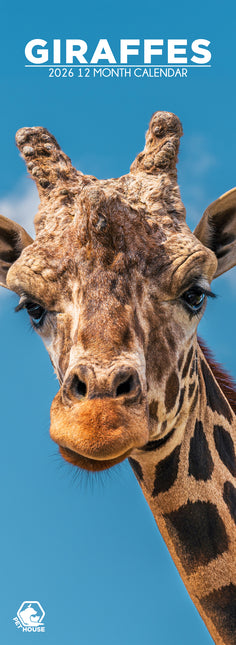 CalendarsRUs Giraffe Slimline Kalender 2026