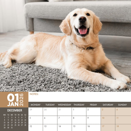 CalendarsRUs Golden Retriever A3 Kalender 2026