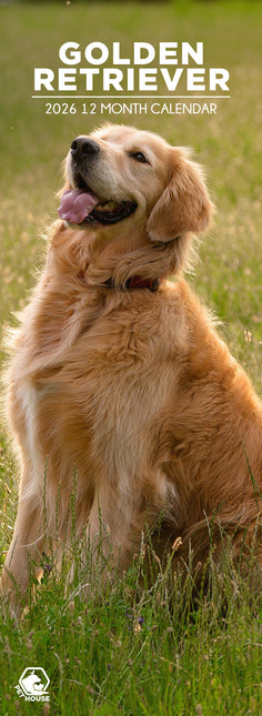 CalendarsRUs Golden Retriever Slimline Kalender 2026