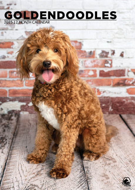 CalendarsRUs Goldendoodle A3 Kalender 2025