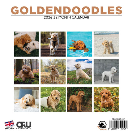CalendarsRUs Goldendoodle Kalender 2026