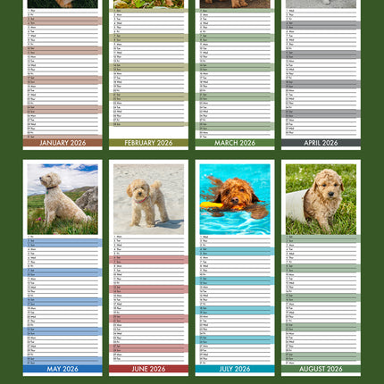 CalendarsRUs Goldendoodle Slimline Kalender 2026