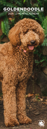 CalendarsRUs Goldendoodle Slimline Kalender 2026