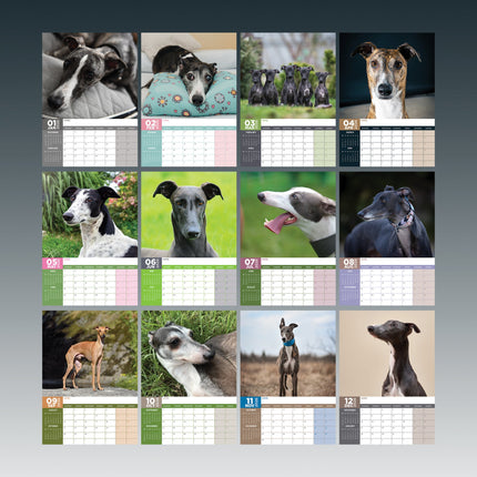 CalendarsRUs Greyhound A3 Kalender 2026