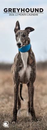 CalendarsRUs Greyhound Slimline Kalender 2026