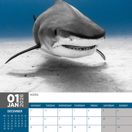 CalendarsRUs Haaien A3 Kalender 2026