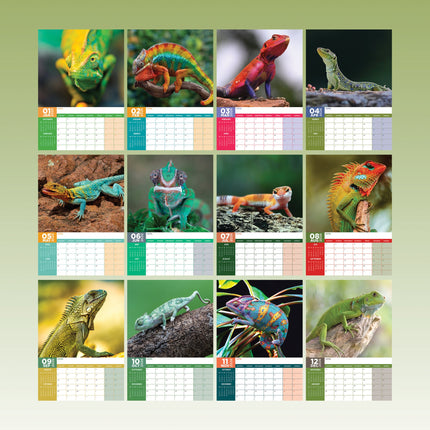 CalendarsRUs Hagedissen A3 Kalender 2026