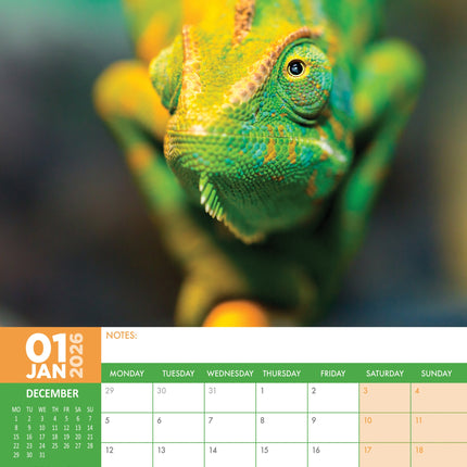 CalendarsRUs Hagedissen A3 Kalender 2026