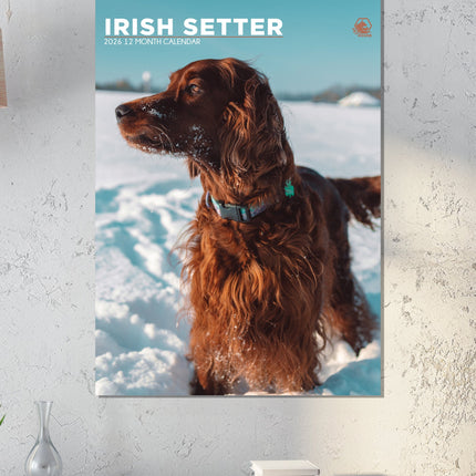 CalendarsRUs Ierse Setter A3 Kalender 2026