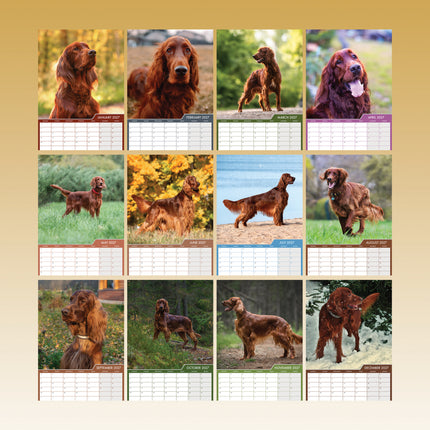 CalendarsRUs Ierse Setter A3 Kalender 2027
