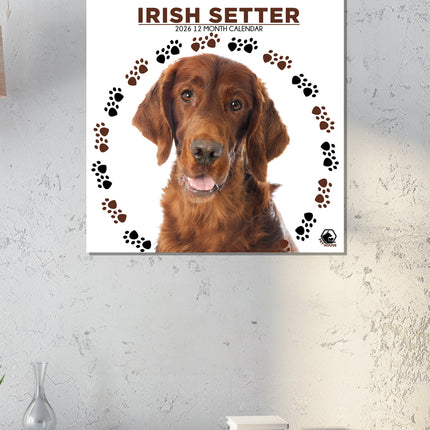 CalendarsRUs Ierse Setter Kalender 2026