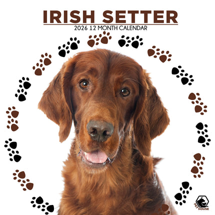 CalendarsRUs Ierse Setter Kalender 2026