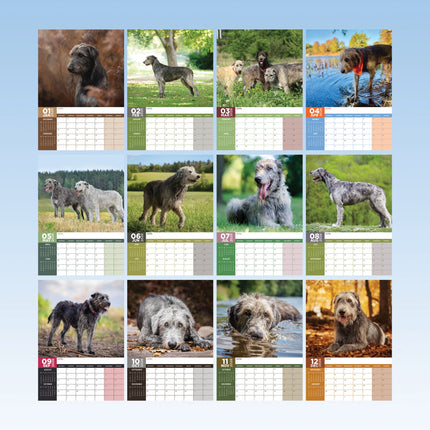 CalendarsRUs Ierse Wolfshond A3 Kalender 2026